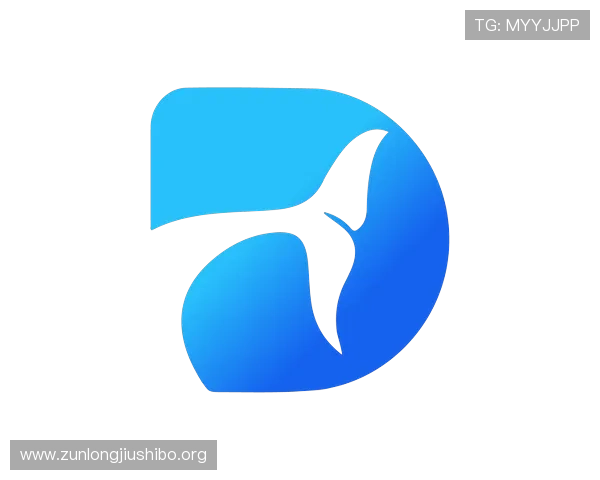 尊龙时凯人生下载官网下载安装包的安全性分析与用户保障措施